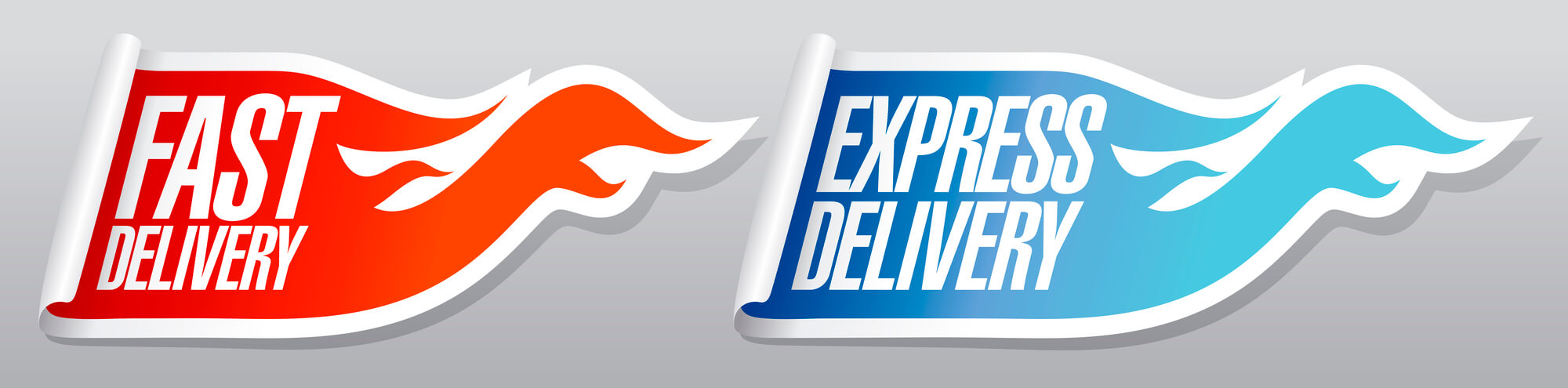 fast express delivery